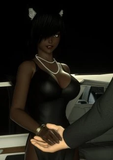 Thisa’s Limo (4)
