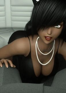 Thisa’s Limo (6)