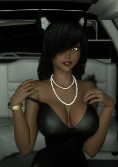 Thisa’s Limo (9)