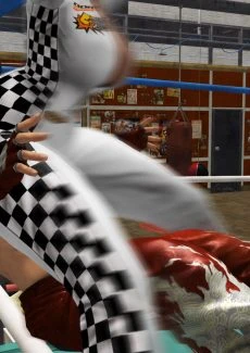 Mariposa vs Lee (10)