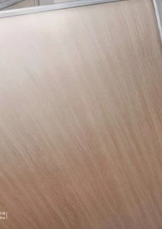 Office Girl (48)