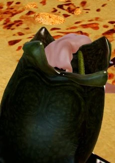 Podded Ch (24)