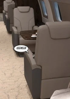 Terror at Thirty Thousand Feet (44)