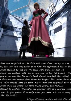 Oversize Princess (8)