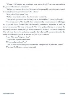 Through Your Eyes (66)