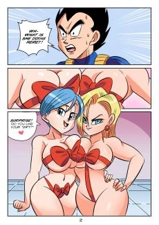 Vegeta’s Gift ( (4)