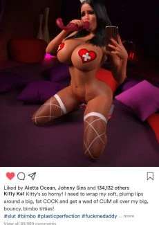 Bimbo Filter (16)