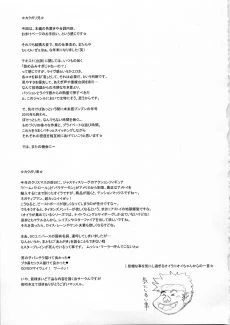 NIPPON IMPOSSIBLE 2 (28)