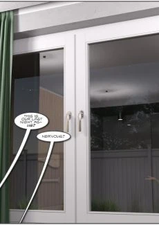Witness Protection (37)