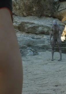 The First Contact (10)