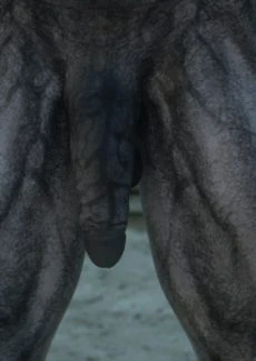 The First Contact (12)
