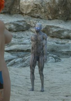 The First Contact (19)
