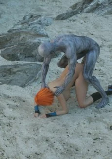 The First Contact (33)