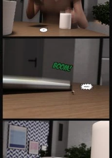 Home Alone (21)