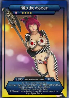 Game cards (14)