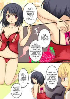Love Doll (9)