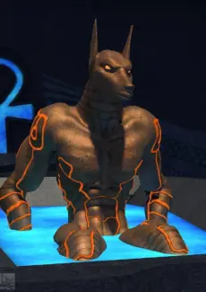Anubis Gateway (284)
