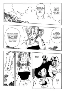 Bulma And Friends (3)