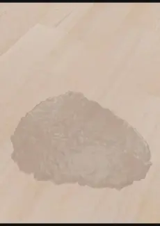 Julia’s Measurement (24)