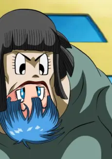 BULMA Y PETISA SAGA MAJIN BU004