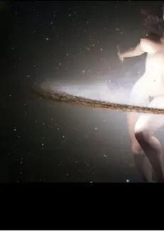 Stellar (26)