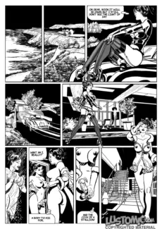 Trans-Domina 1 (9)