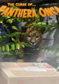 Panthera Onca (27)