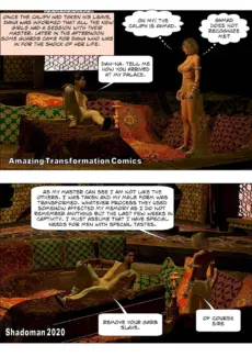 Arabian Night (89)