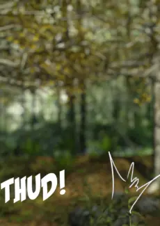 In The Forest (23)