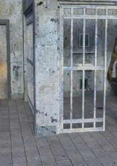 The Prison Call (16)