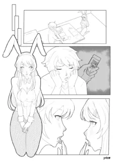 Bunny Transfer (23)