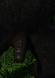 Gorillas World Chapter 1 – 013