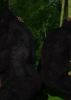 Gorillas World Chapter 1 – 075