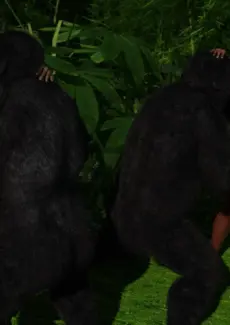 Gorillas World Chapter 1 – 081