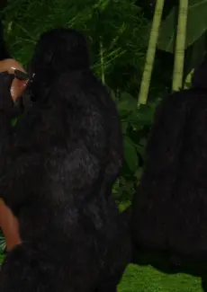 Gorillas World Chapter 1 – 084