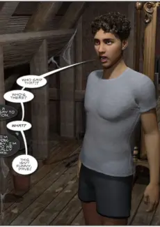 Mirror in the Attic (11)