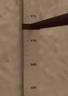 My Shrinking Lover (78)