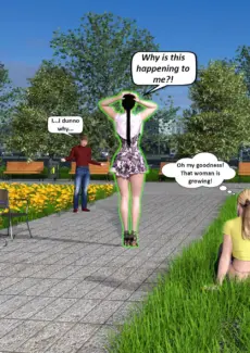 Garden (5)