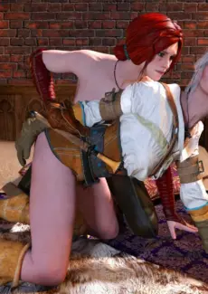 The Witcher (14)