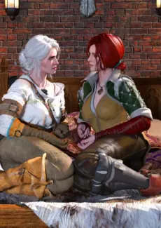 The Witcher (4)