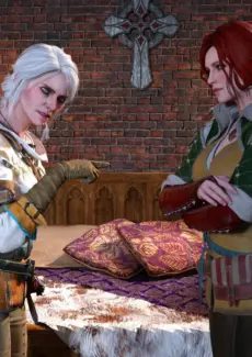 The Witcher (5)