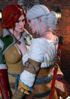 The Witcher (7)
