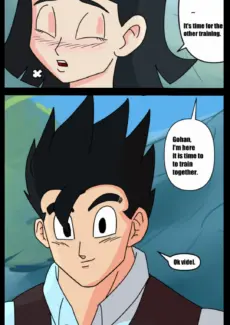 Videl Training007