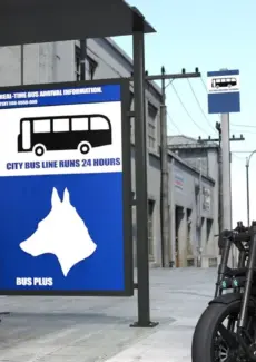 You need a ride (6)