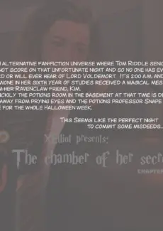 The chamber of her secrets (2)