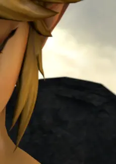Wonder Woman x Link (14)