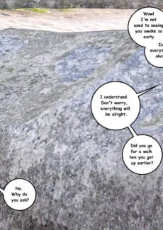 Lost Island 2 (3)