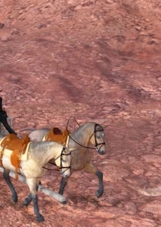 Old Wild West (18)