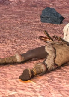 Old Wild West (19)