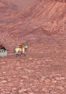 Old Wild West (34)